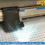 Cắt bế tem nhãn tròn nhỏ 8ly với máy cắt bế Graphtec CE6000-40 Plus